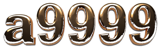 a9999 logo
